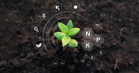 Humic Acid (Axit Humic) - Vai trò của Humic Acid đối với đất và cây trồng