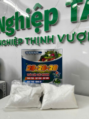20-20-20 TRÁI LƠN CỰC NHANH