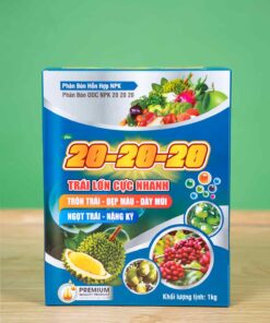 20-20-20 TRÁI LƠN CỰC NHANH