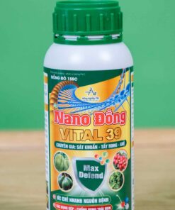 Nano Đồng VITAL 39