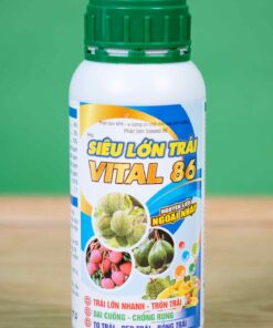 sản phẩm siêu lớn trái - Nông Nghiệp TAL