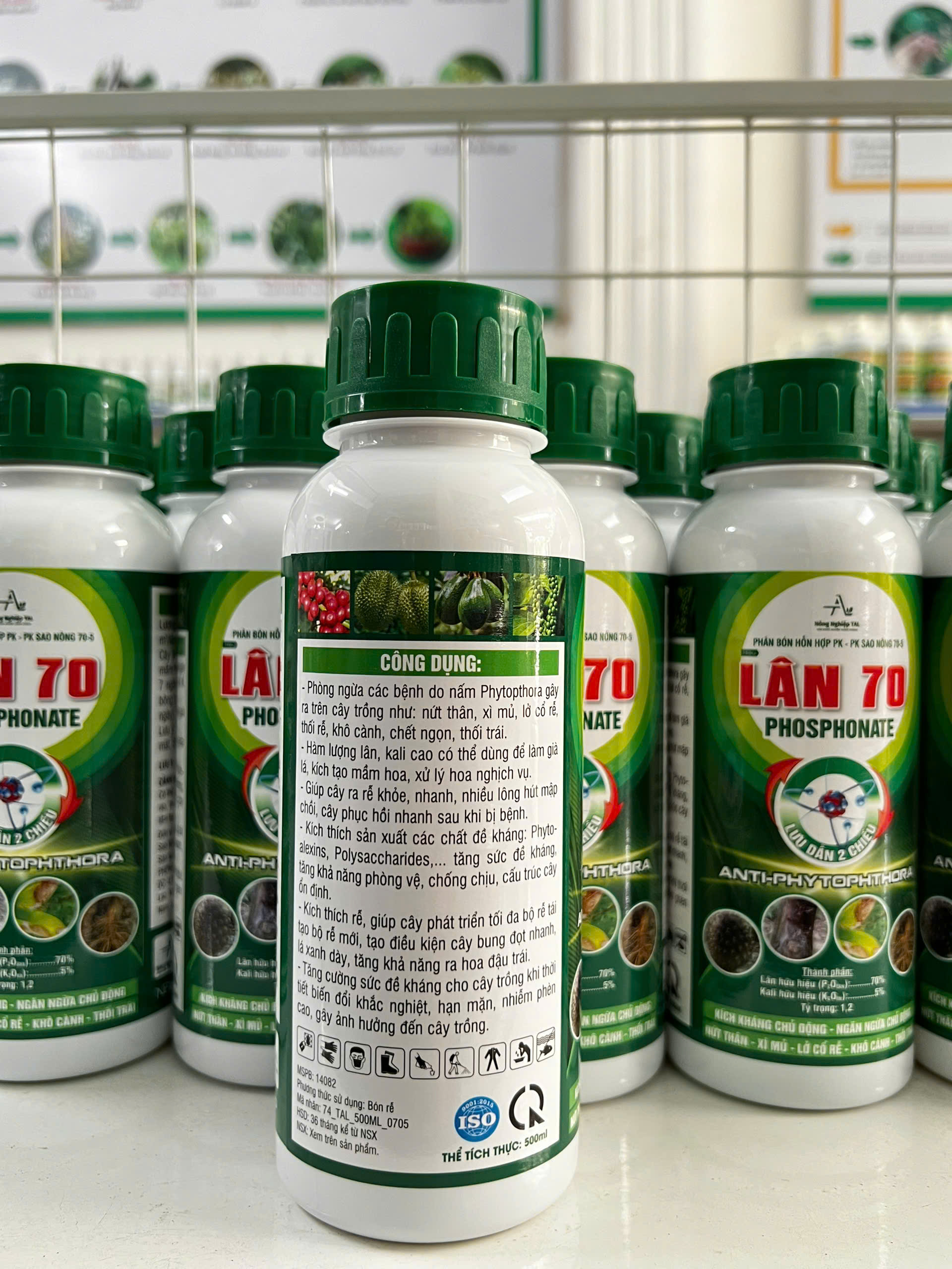 z6417740384047_89860df6214dadf879ffb841dbc774e4 mặt sau lân 70