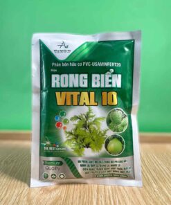 SẢN PHẨM RONG BIỂN VITAL 10