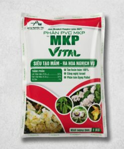 MKP